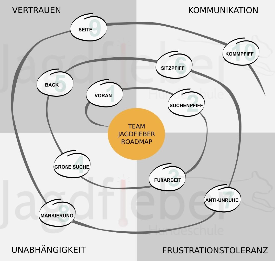 Anschauliche Grafik, welche Elemente im Dummytraining wann trainiert werden sollten.