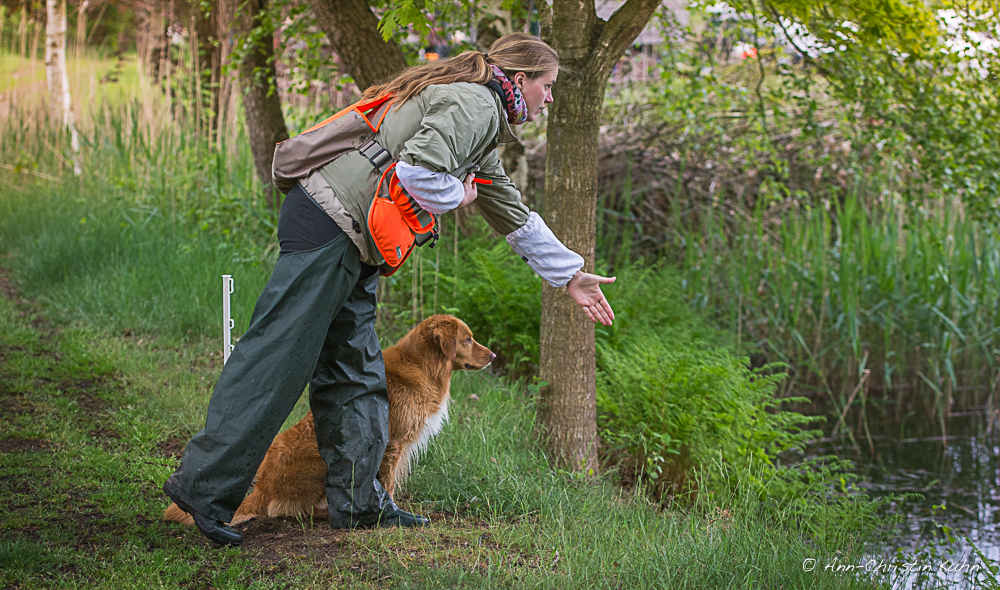 Hund wird mit Voran eingewiesen.