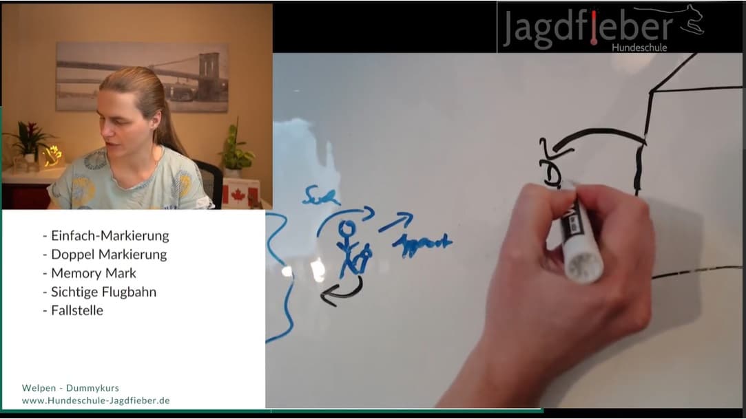 Im Welpenkurs erkläre ich dir die Theorie hinter dem Dummytraining, sodass du die Aufgaben ganz einfach bei dir zu Hause trainieren kannst.
