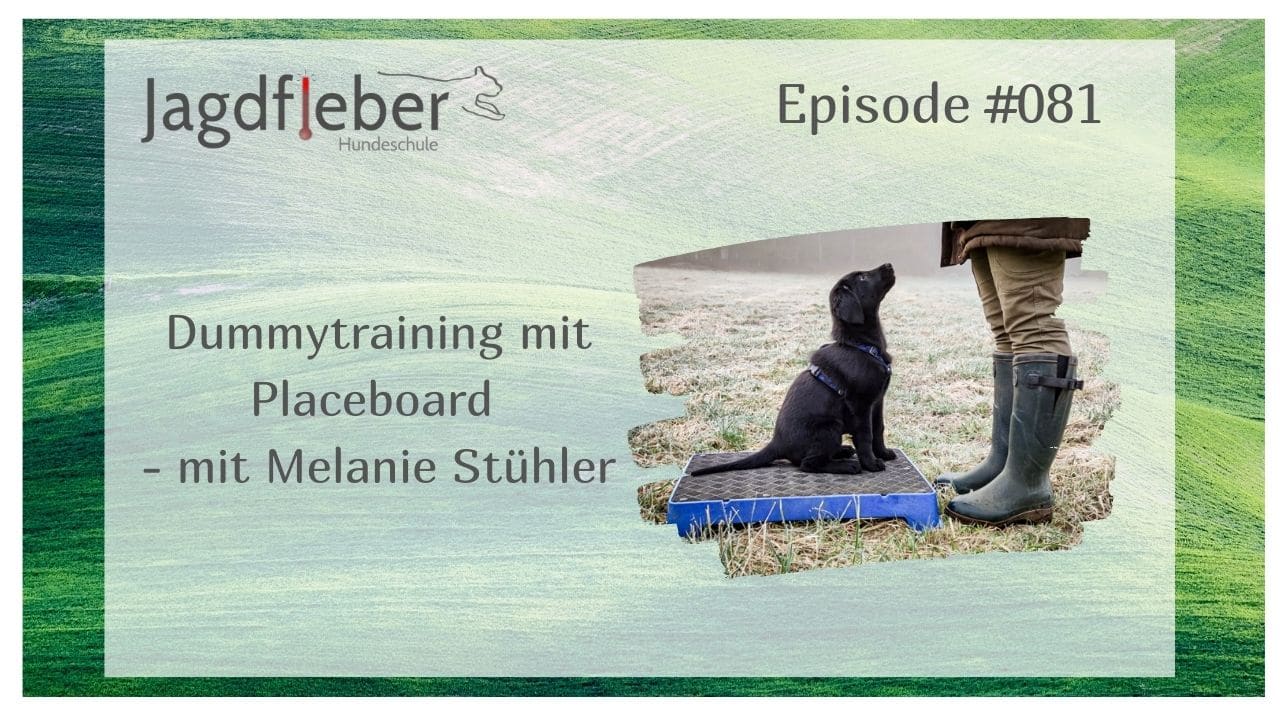 P081: Dummytraining mit Placeboard – mit Melanie Stühler » Jagdfieber