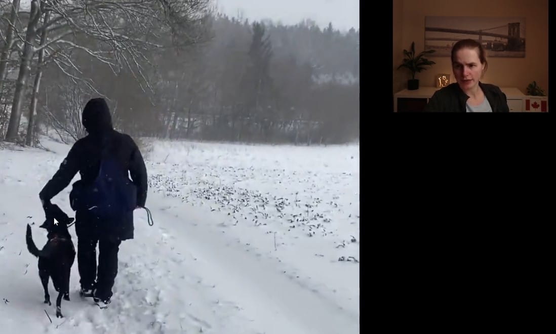 Bild einer Videoanalyse