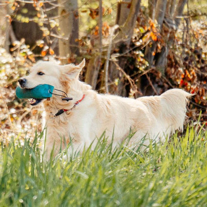 Oskar
