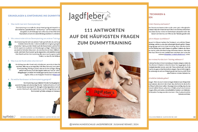 111-Antworten-Fragen-Titelblatt-angeordnet-2