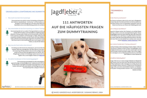111-Fragen-Dummytraining-1
