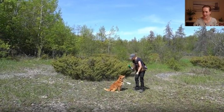 Baustellentraining