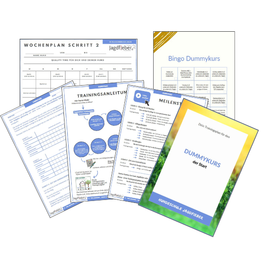 Smart Basic Downloads-transparent